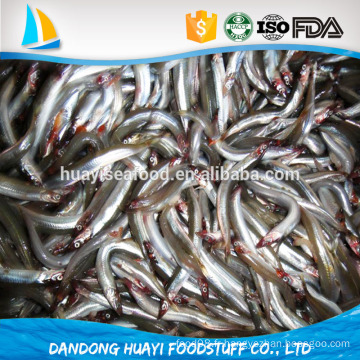 Bqf anchois fraîches congelées appâts de poissons capture locale